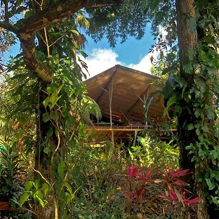 Cascada Verde Hostel Uvita Exteriör bild