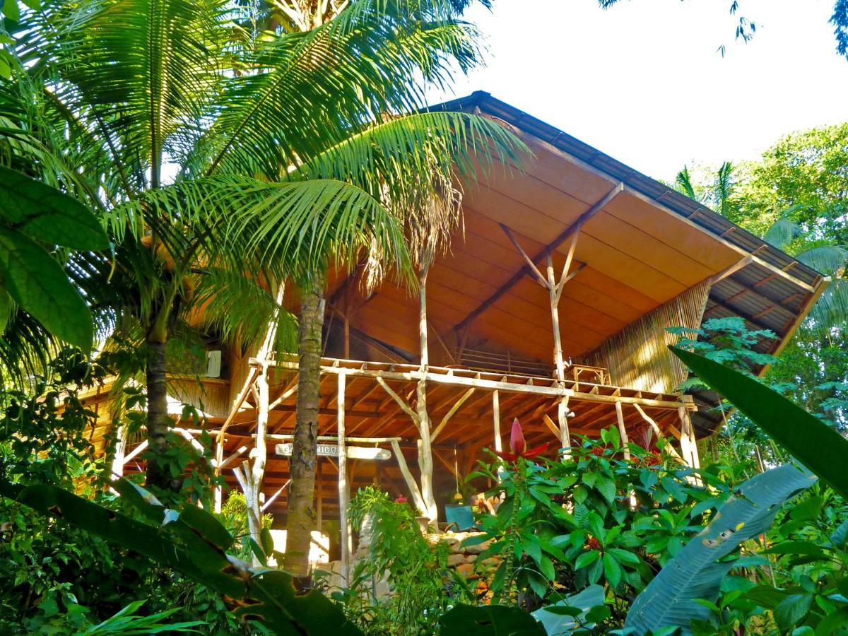 Cascada Verde Hostel Uvita Exteriör bild