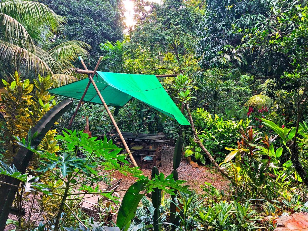 Cascada Verde Hostel Uvita Exteriör bild