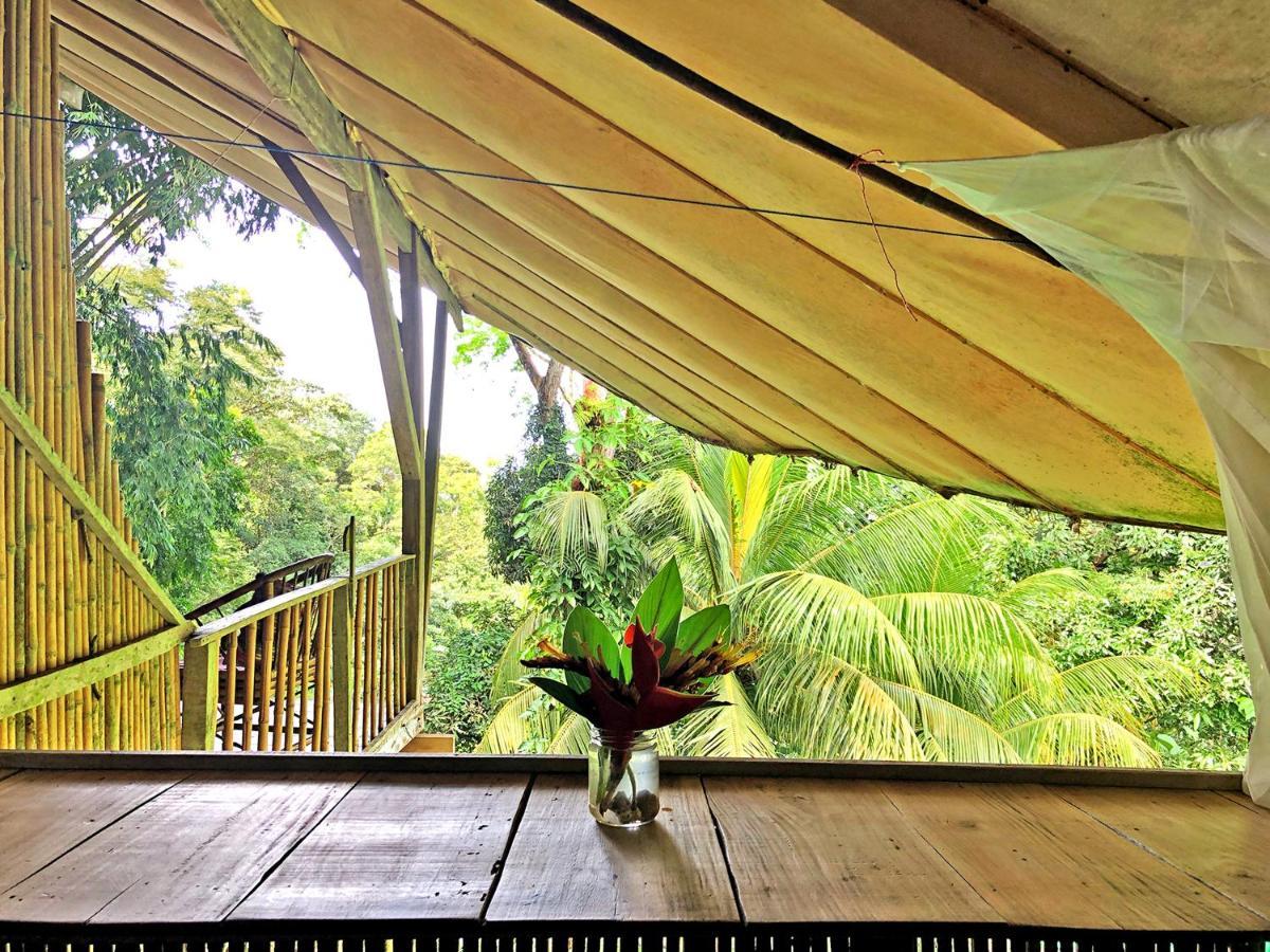 Cascada Verde Hostel Uvita Exteriör bild