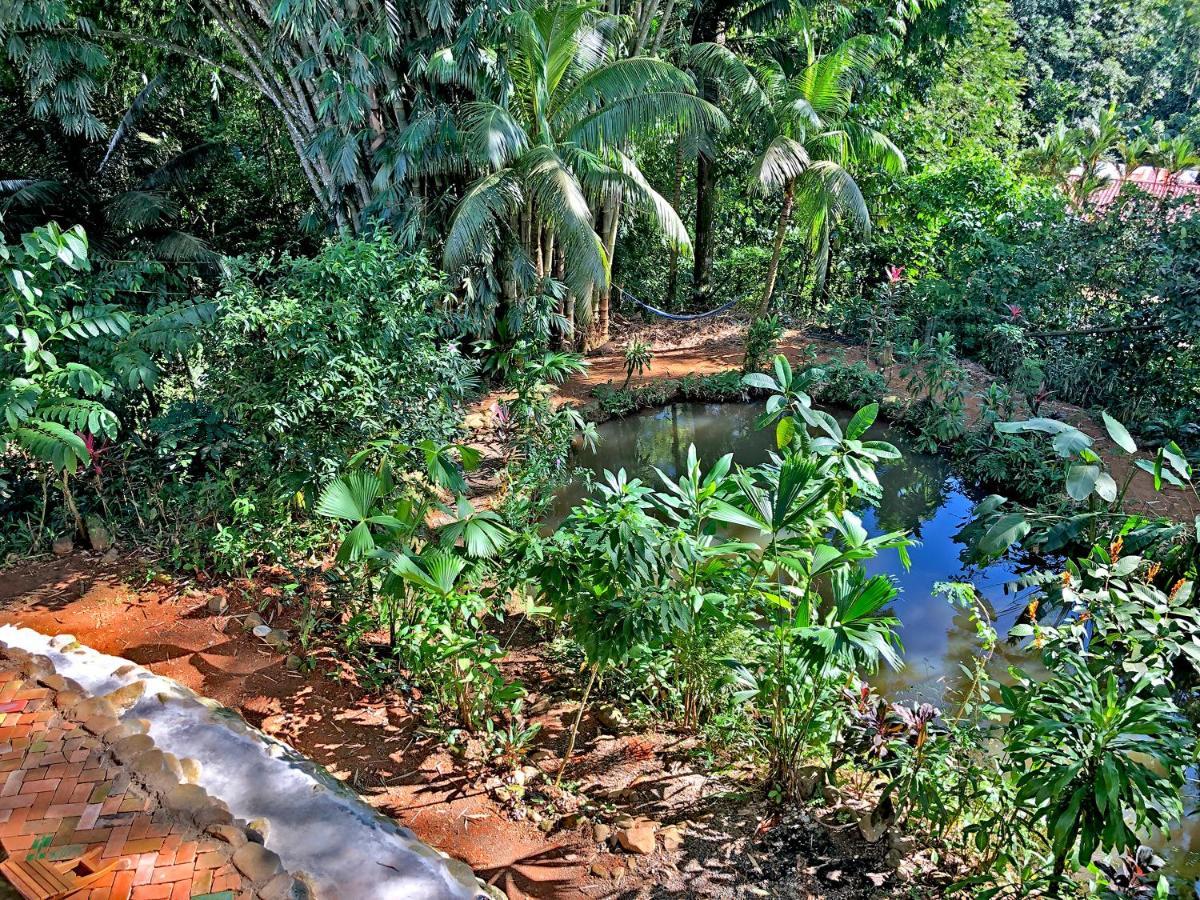 Cascada Verde Hostel Uvita Exteriör bild