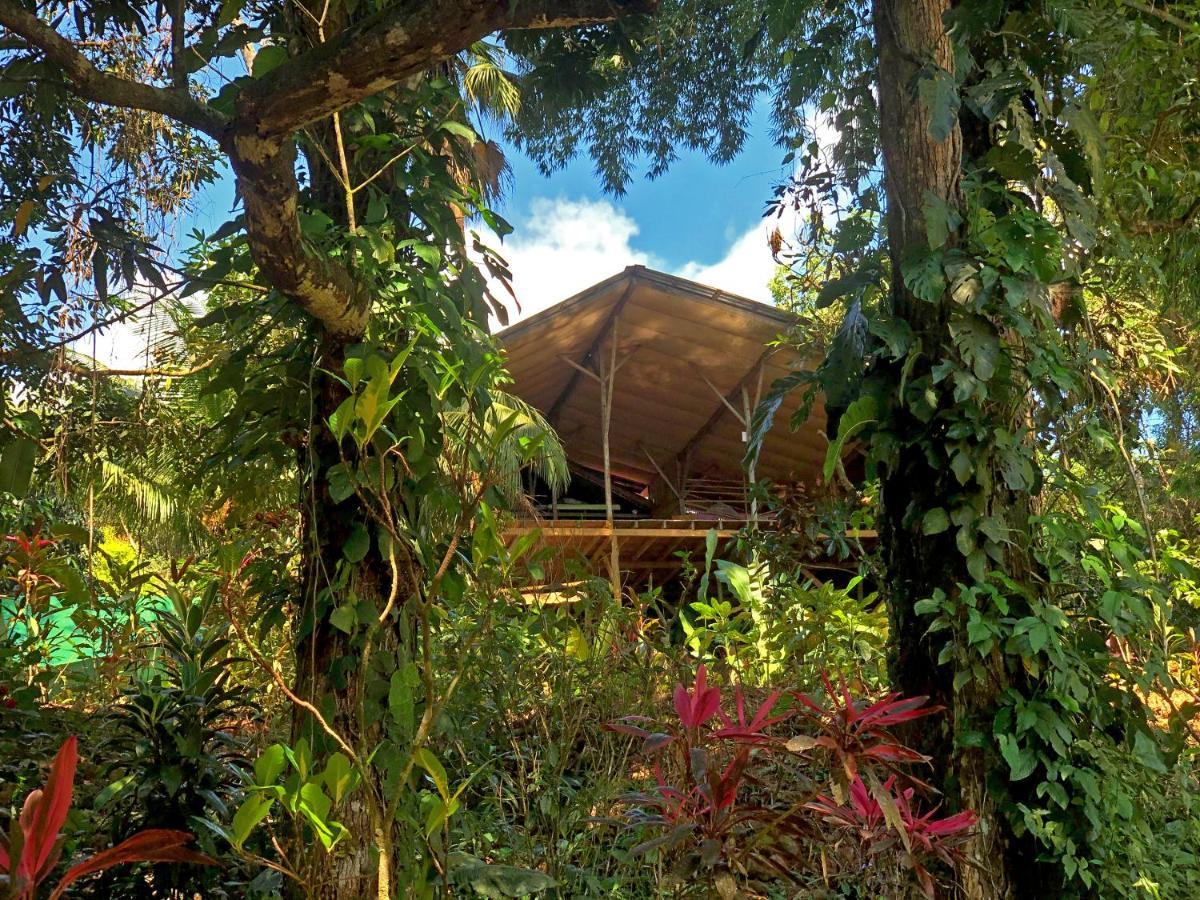 Cascada Verde Hostel Uvita Exteriör bild